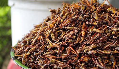 新闻简讯(足球小组赛)利比亚1v1柬埔寨比分预测生鲜电商应用-内幕披露 新闻简讯(足球小组赛)利比亚1v1柬埔寨比分预测生鲜电商应用-内幕披露